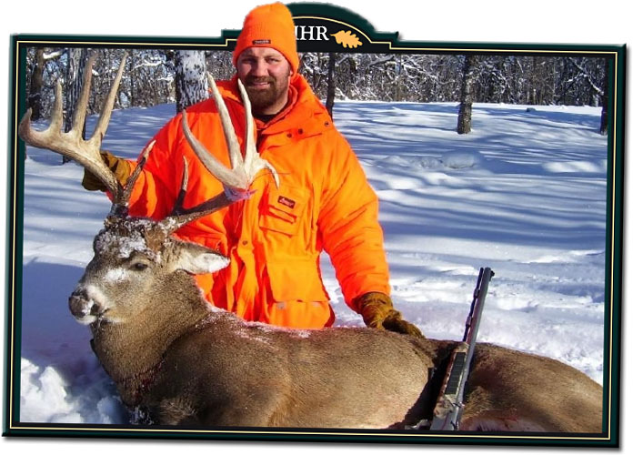 Whitetail Deer