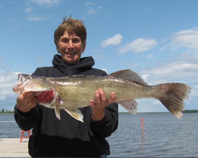 Walleye Fishing Lake of the Woods Ontario