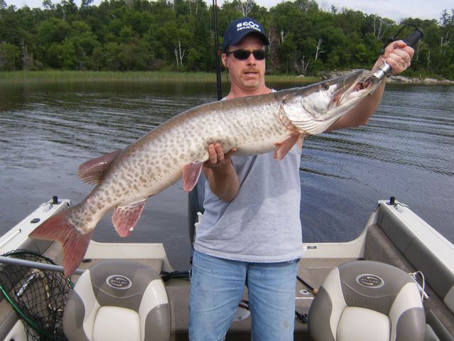 47" Muskie Master Angler: 47" Master Angler Muskie - Lake of the Woods Ontario Canada
