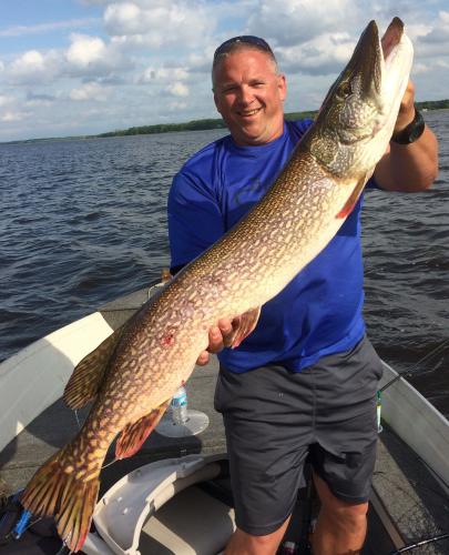 47in Northern Pike Lake of the Woods Ontario fishing