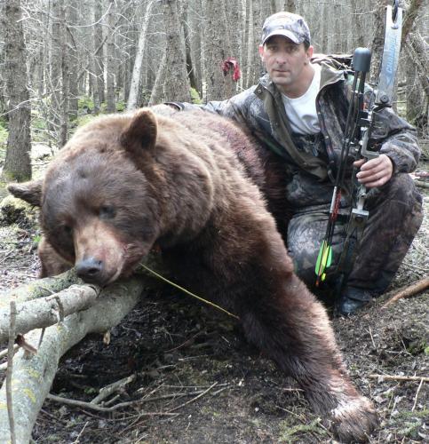 Black Bear Cinnamon Hunt Ontario
