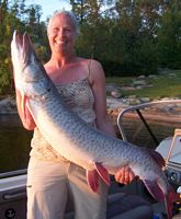 Muskie 55" fishing Ontario Lake of the Woods